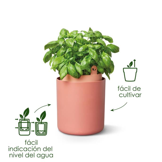 bouncy basil blanco lino